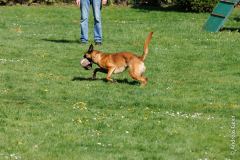2026_04_19_Fruehjahrspruefung_0058
