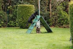 2026_04_19_Fruehjahrspruefung_0539