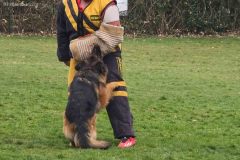 Pruefung_Maerz25_Hope_IGP1_Schutzdienst_2025-03-23_16-07-12-3
