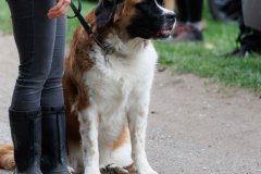 OG_Kupferdreh_Herbstpruefung_2025_10_12_3441