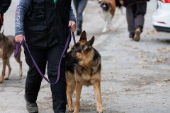 OG_Kupferdreh_Herbstpruefung_2025_10_12_3444