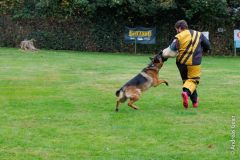 OG_Kupferdreh_Herbstpruefung_2025_10_12_3500