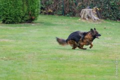 OG_Kupferdreh_Herbstpruefung_2025_10_12_3666