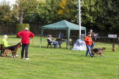 60D_SV-OG-09-interne-Vereinsschau_2022_10_15_0052